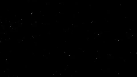Natural Organic Dust Particles Float On Black Background. Dust In Motion. Vidéo 302737480
