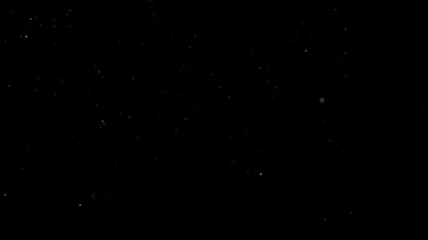 Natural Organic Dust Particles Float On Black Background. Dust In Motion. Vidéo 302737724