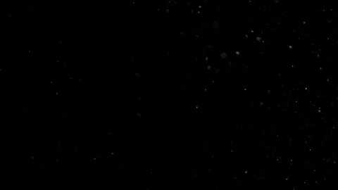 Natural Organic Dust Particles Float On Black Background. Dust In Motion. Vidéo 302737793
