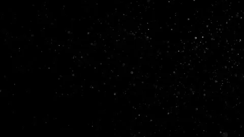 Natural Organic Dust Particles Float On Black Background. Dust In Motion. Vidéo 302737803