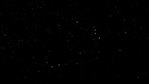 Natural Organic Dust Particles Float On Black Background. Dust In Motion. Vidéo 302737823