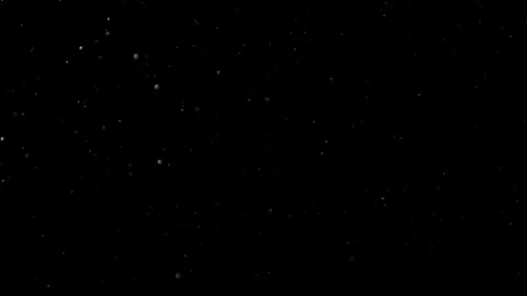 Natural Organic Dust Particles Float On Black Background. Dust In Motion. Vidéo 302737856