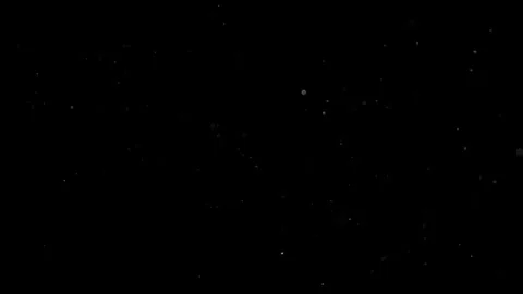 Natural Organic Dust Particles Float On Black Background. Dust In Motion. Vidéo 302737928