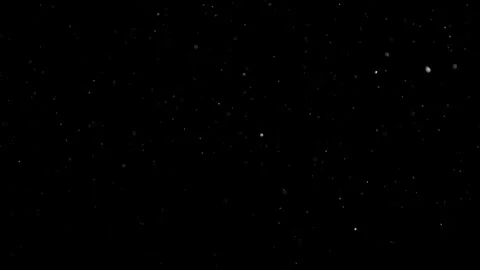 Natural Organic Dust Particles Float On Black Background. Dust In Motion. Vidéo 302737974