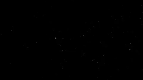 Natural Organic Dust Particles Float On Black Background. Dust In Motion. Vidéo 302737993