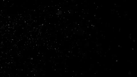Natural Organic Dust Particles Float On Black Background. Dust In Motion. Vidéo 302738018