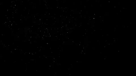 Natural Organic Dust Particles Float On Black Background. Dust In Motion. Vidéo 302738047
