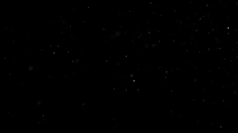 Natural Organic Dust Particles Float On Black Background. Dust In Motion. Vidéo 302738160