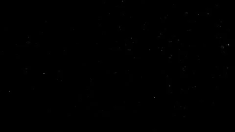 Natural Organic Dust Particles Float On Black Background. Dust In Motion. Vidéo 302738174