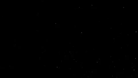 Natural Organic Dust Particles Float On Black Background. Dust In Motion. Vidéo 302738176