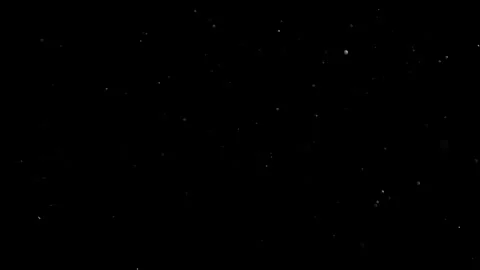 Natural Organic Dust Particles Float On Black Background. Dust In Motion. Vidéo 302738201