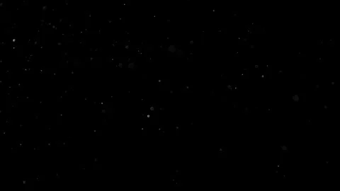 Natural Organic Dust Particles Float On Black Background. Dust In Motion. Vidéo 302738205