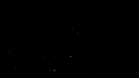 Natural Organic Dust Particles Float On Black Background. Dust In Motion. Vidéo 302738227