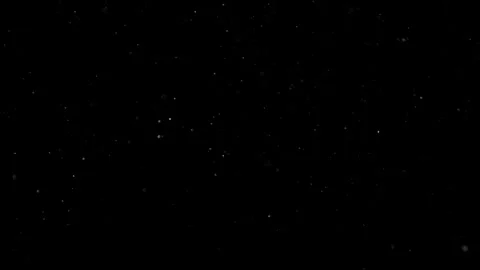 Natural Organic Dust Particles Float On Black Background. Dust In Motion. Vidéo 302738241