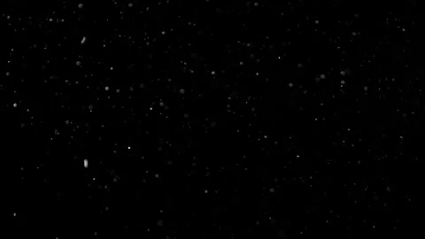 Natural Organic Dust Particles Float On Black Background. Dust In Motion. Vidéo 302738250