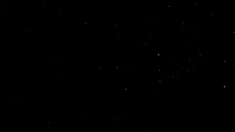 Natural Organic Dust Particles Float On Black Background. Dust In Motion. Vidéo 302738307