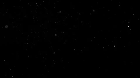 Natural Organic Dust Particles Float On Black Background. Dust In Motion. Vidéo 302738322