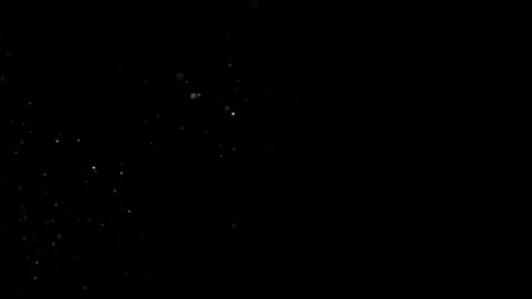 Natural Organic Dust Particles Float On Black Background. Dust In Motion. Vidéo 305882333