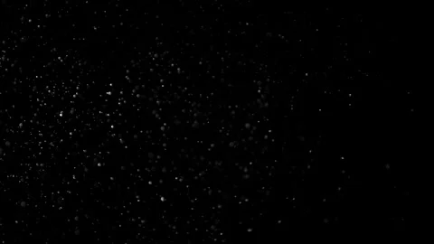 Natural Organic Dust Particles Float On Black Background. Dust In Motion. Vidéo 305882404