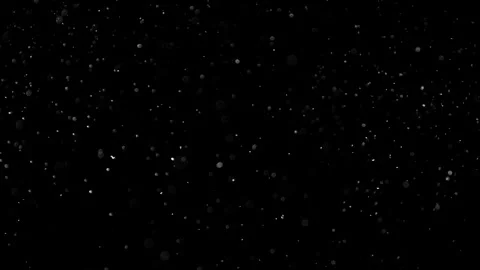 Natural Organic Dust Particles Float On Black Background. Dust In Motion. Vidéo 305882429