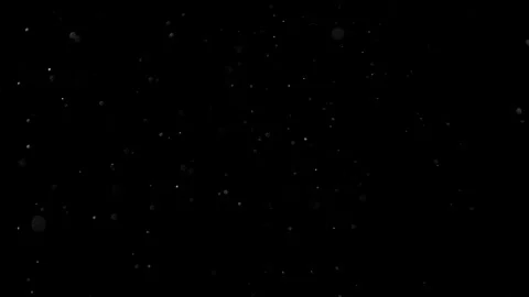 Natural Organic Dust Particles Float On Black Background. Dust In Motion. Vidéo 305882434