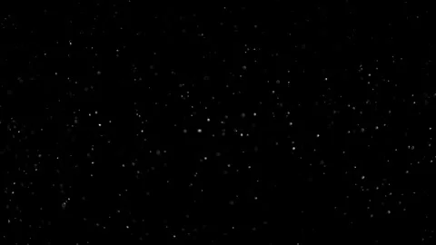 Natural Organic Dust Particles Float On Black Background. Dust In Motion. Vidéo 305882503