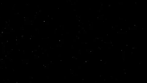 Natural Organic Dust Particles Float On Black Background. Dust In Motion. Vidéo 305882535