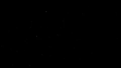 Natural Organic Dust Particles Float On Black Background. Dust In Motion. Vidéo 305882555