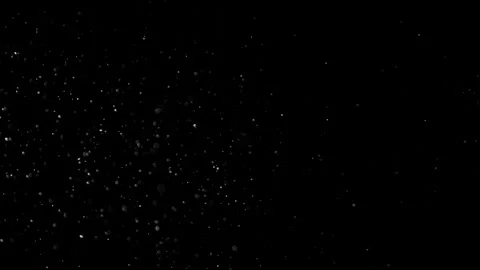 Natural Organic Dust Particles Float On Black Background. Dust In Motion. Vidéo 305882562