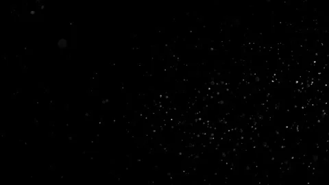 Natural Organic Dust Particles Float On Black Background. Dust In Motion. Vidéo 305882582