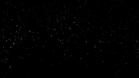 Natural Organic Dust Particles Float On Black Background. Dust In Motion. Vidéo 305882586