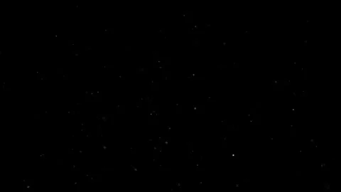 Natural Organic Dust Particles Float On Black Background. Dust In Motion. Vidéo 305882599