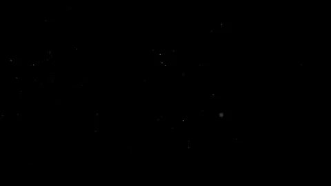 Natural Organic Dust Particles Float On Black Background. Dust In Motion. Vidéo 305882609
