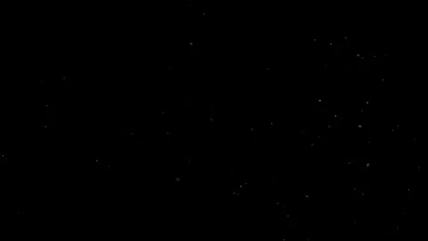 Natural Organic Dust Particles Float On Black Background. Dust In Motion. Vidéo 305882616