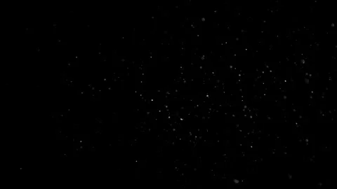 Natural Organic Dust Particles Float On Black Background. Dust In Motion. Vidéo 305882632