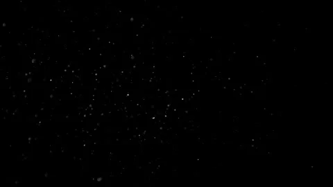 Natural Organic Dust Particles Float On Black Background. Dust In Motion. Vidéo 305882654