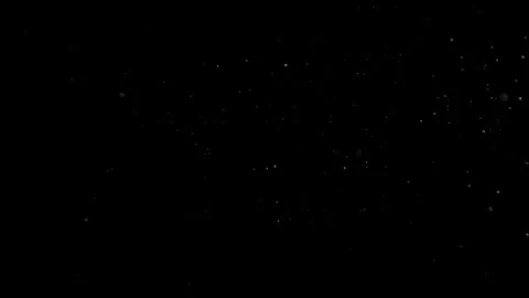 Natural Organic Dust Particles Float On Black Background. Dust In Motion. Vidéo 305882683