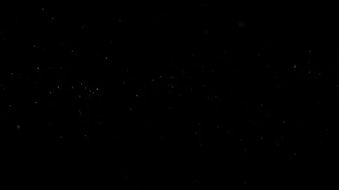 Natural Organic Dust Particles Float On Black Background. Dust In Motion. Vidéo 305882696