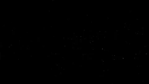 Natural Organic Dust Particles Float On Black Background. Dust In Motion. Vidéo 305882704