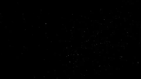 Natural Organic Dust Particles Float On Black Background. Dust In Motion. Vidéo 305882709