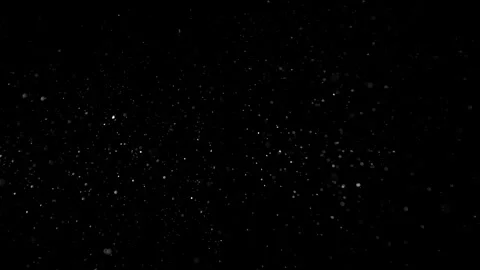 Natural Organic Dust Particles Float On Black Background. Dust In Motion. Vidéo 305882755