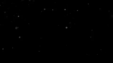 Natural Organic Dust Particles Float On Black Background. Dust In Motion. Vidéo 305882774