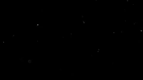 Natural Organic Dust Particles Float On Black Background. Dust In Motion. Vidéo 305882791