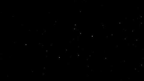 Natural Organic Dust Particles Float On Black Background. Dust In Motion. Vidéo 305882817