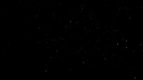 Natural Organic Dust Particles Float On Black Background. Dust In Motion. Vidéo 305882849