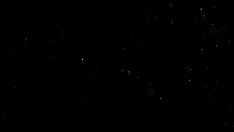 Natural Organic Dust Particles Float On Black Background. Dust In Motion. Vidéo 305882852