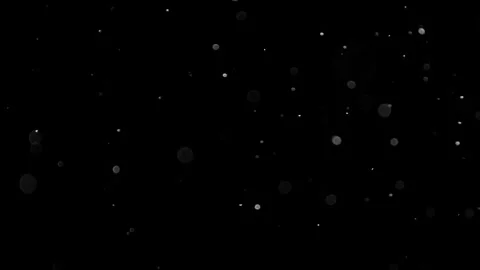 Natural Organic Dust Particles Float On Black Background. Dust In Motion. Vidéo 305882853