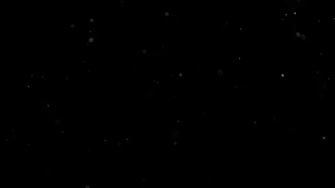 Natural Organic Dust Particles Float On Black Background. Dust In Motion. Vidéo 305882856