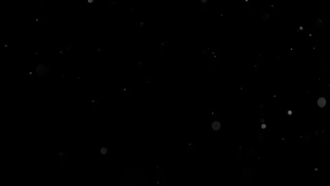 Natural Organic Dust Particles Float On Black Background. Dust In Motion. Vidéo 305882882