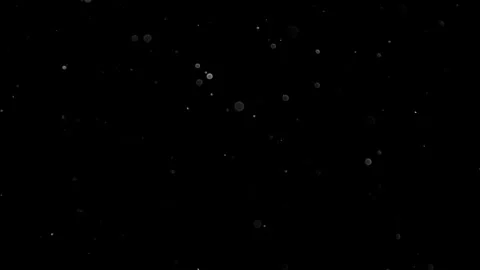 Natural Organic Dust Particles Float On Black Background. Dust In Motion. Vidéo 305882896